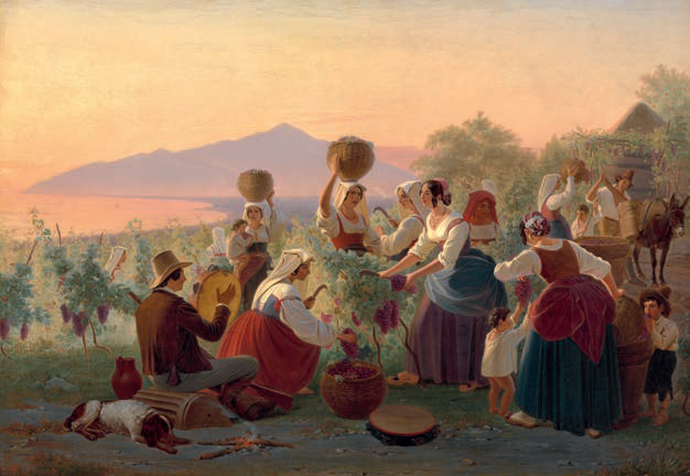 Wine harvest, Naples