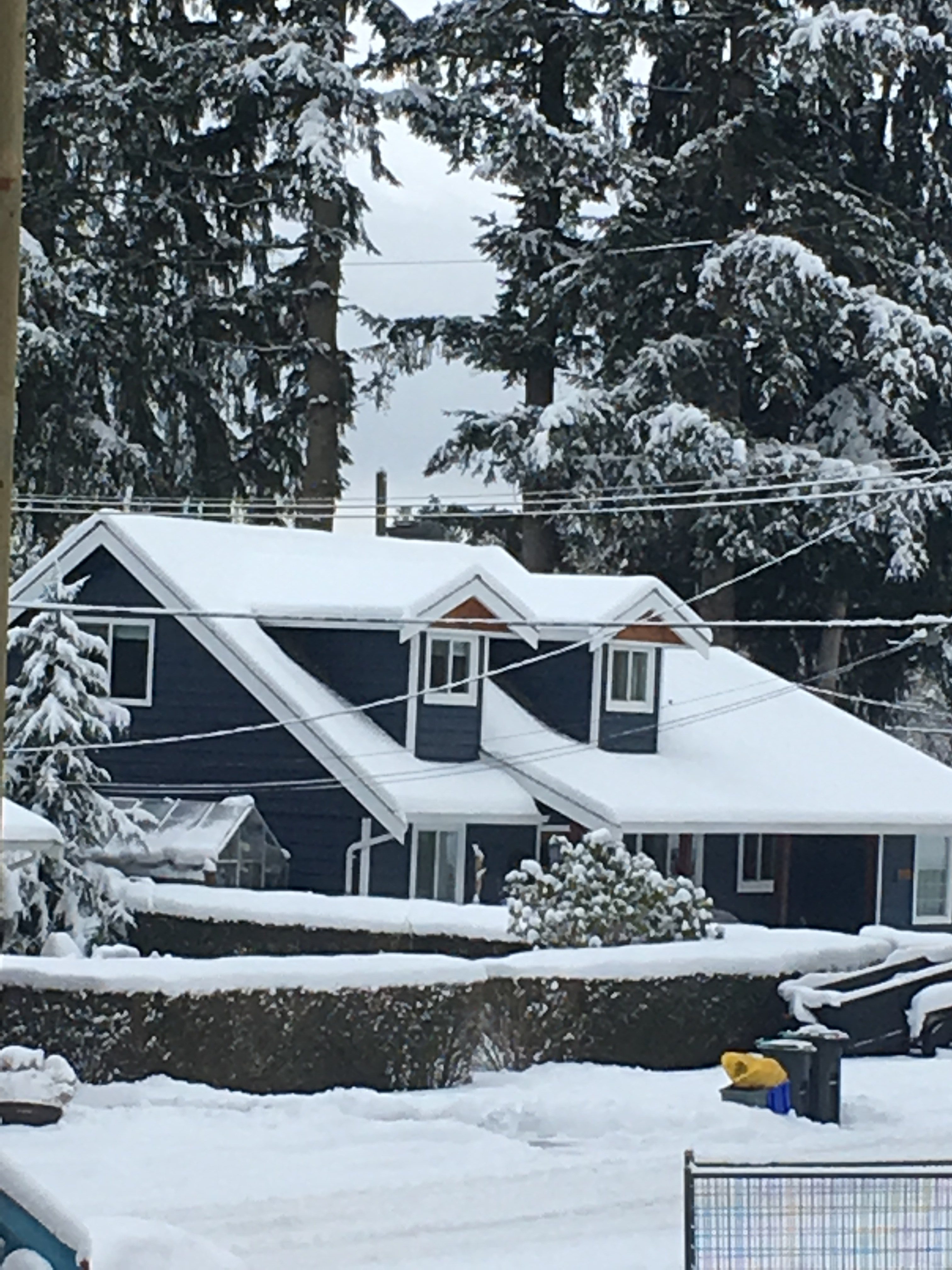 A Snow-Covered House