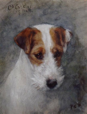 Ch. Cackler of Notts