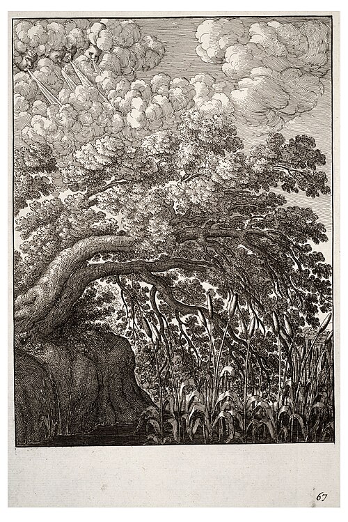 The Oak and the Reed State 1