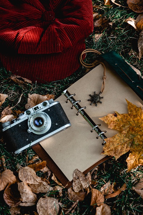 Autumn Camera